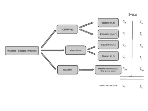 Neutron - Nuclear Reactions