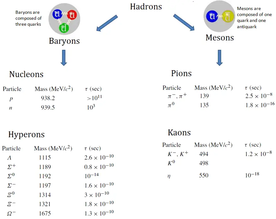 What are Hadrons Definition & Properties