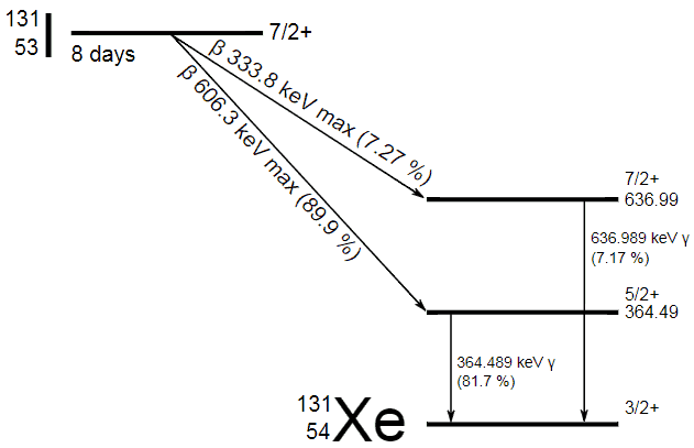 Radioactive Decay - Equation - Formula | nuclear-power.com