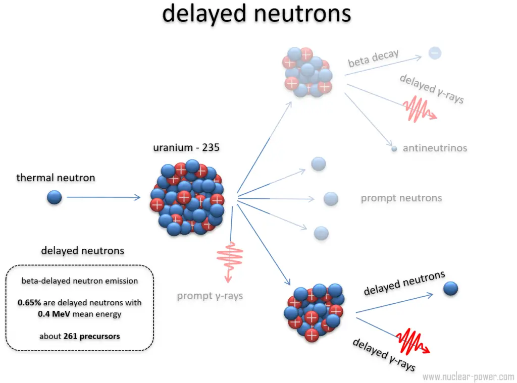 delayed neutrons