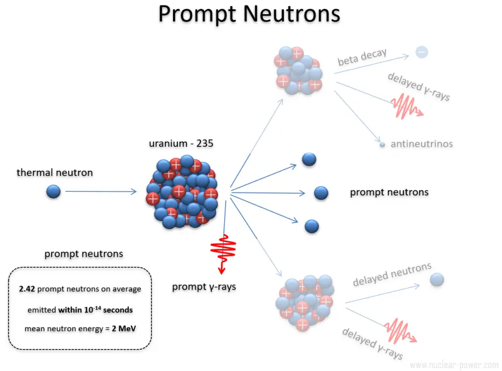 prompt neutrons